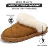 imageProject Cloud House Slippers for Women  Genuine Leather ampamp Natural Fur Lining Fluffy Slippers  Memory Foam Womens Shoes HedyChestnut